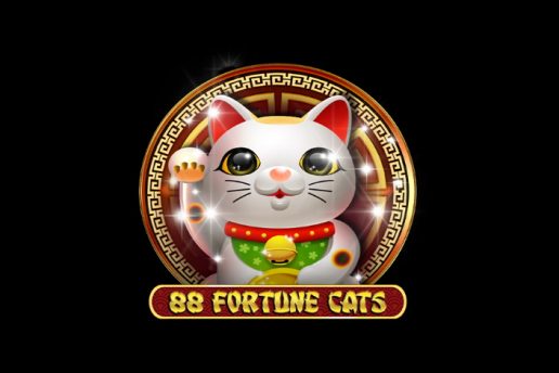 Community and Social Aspects of Playing 88 Fortune Cats Slots